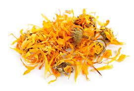 Calendula - Calendula officinalis